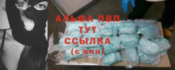 СК Аркадак