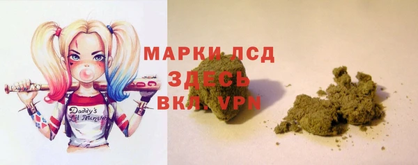 ПСИЛОЦИБИНОВЫЕ ГРИБЫ Алзамай