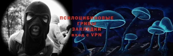 apvp Алексин