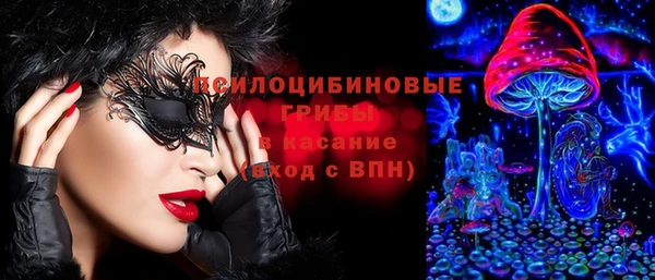 ПСИЛОЦИБИНОВЫЕ ГРИБЫ Алзамай