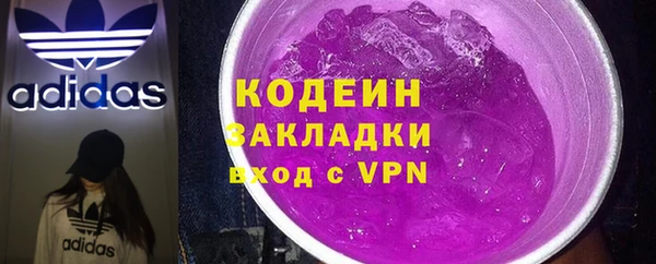 сатива Арсеньев