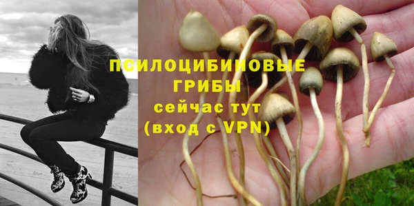 экстази Алексеевка