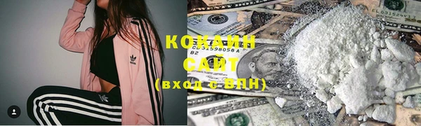 ПСИЛОЦИБИНОВЫЕ ГРИБЫ Алзамай