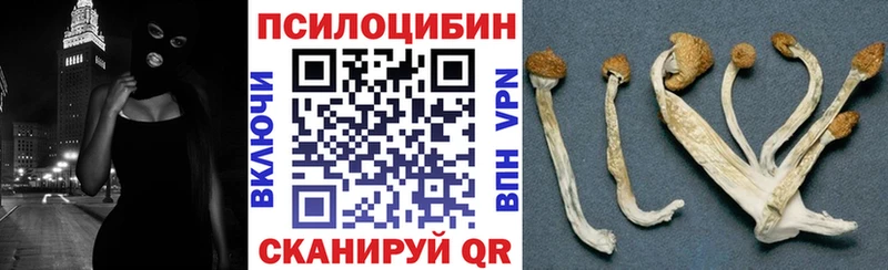 Псилоцибиновые грибы Cubensis  Купить  Железногорск-Илимский 