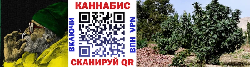 Купить где  Железногорск-Илимский  Бошки Шишки MAZAR 